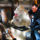 Illustration for article titled Dave Elsey, The Jim Henson Creature Shop